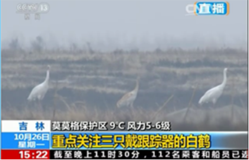 尊龙凯时,湖南野生动物追踪,湖南卫星追踪器,湖南追踪器 尊龙凯时,湖南野生动物追踪,湖南卫星追踪器,湖南追踪器